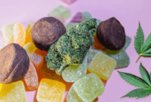 How Long Does Cbd Gummy Stay in System