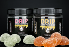 Take Advantage Of Delta 8 Gummies 1000mg