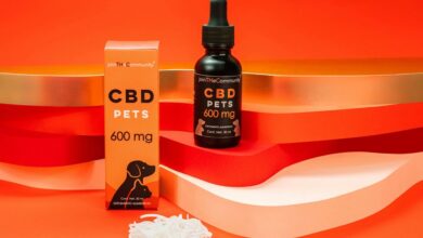 best cbd oil for dogs