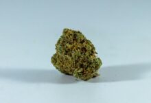 cbd and cold medicine interaction