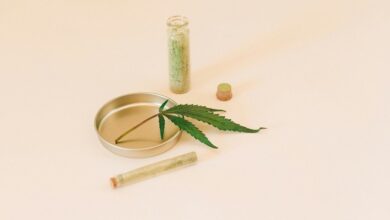 cbd benefits for anxious dogs