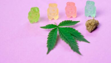 cbd gummies vary significantly