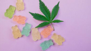 cbd gummy onset time