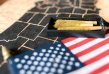 cbd legality by state