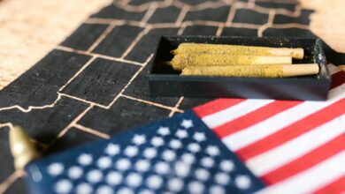 cbd legality by state