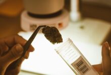 cbd may contain thc