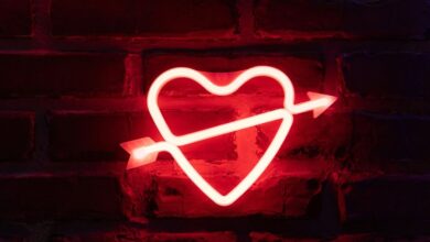 cbd s impact on heart