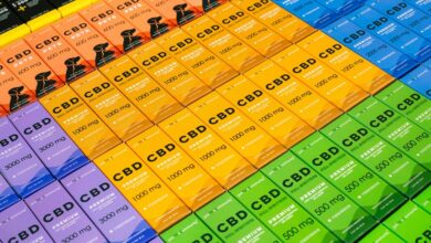 cbd toxicity in dogs