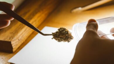 cbd urine drug test