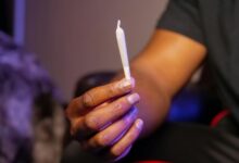 drug dogs detect cbd