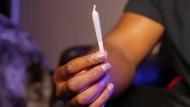 drug dogs detect cbd