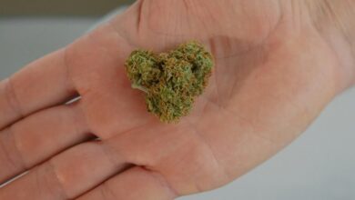 hhc is a cannabinoid