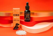 human cbd oil safety