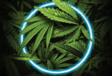 Unlock Growth Potential with a Cannabis Marketing Agency