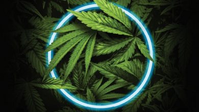 Unlock Growth Potential with a Cannabis Marketing Agency