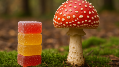 Purple Redefines Wellness with Premium amanita mushroom gummies for Everyday Balance