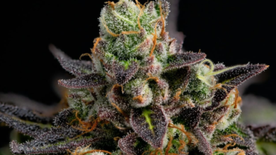 What “grade” means at a dispensary