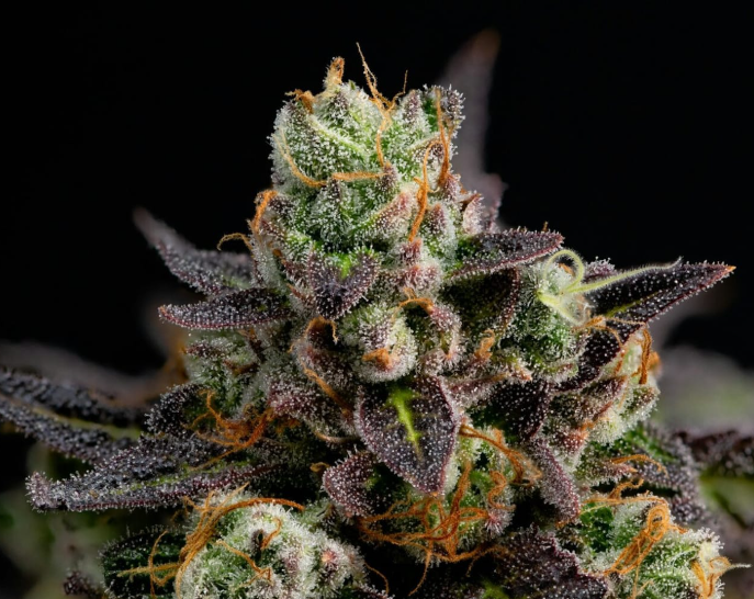 What “grade” means at a dispensary