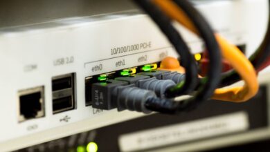 ip address 111 901 50 204 details