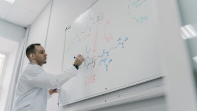 top benefits of torpoeno explained