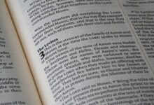 why 4127631095 matters now